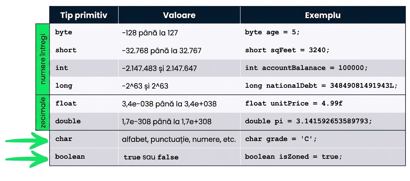 Tipurile de date char și boolean