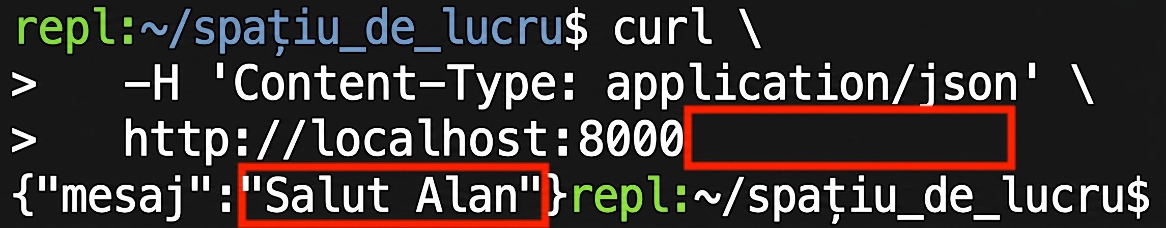 Terminal care afișează o cerere curl fără nume furnizat. Mesajul de răspuns este "Hello Alan."