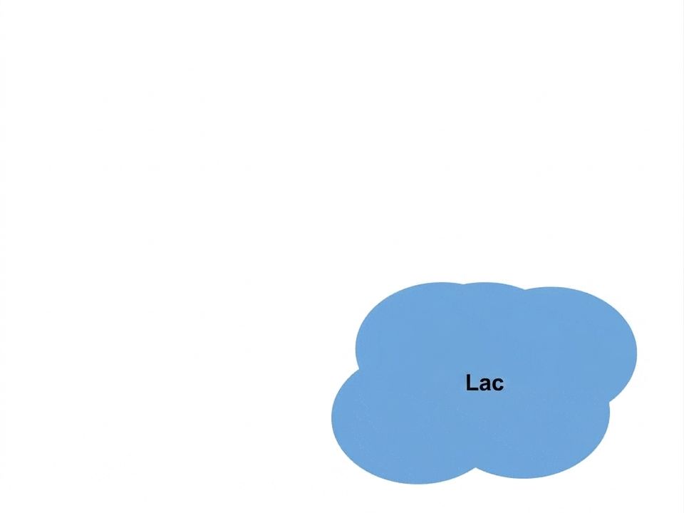 Diagramă flux Lakehouse