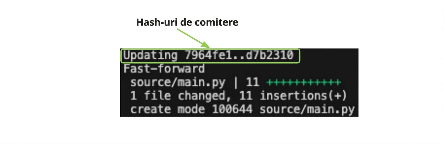 Rezultatul git_merge cu evidențierea hash-urilor commit-urilor
