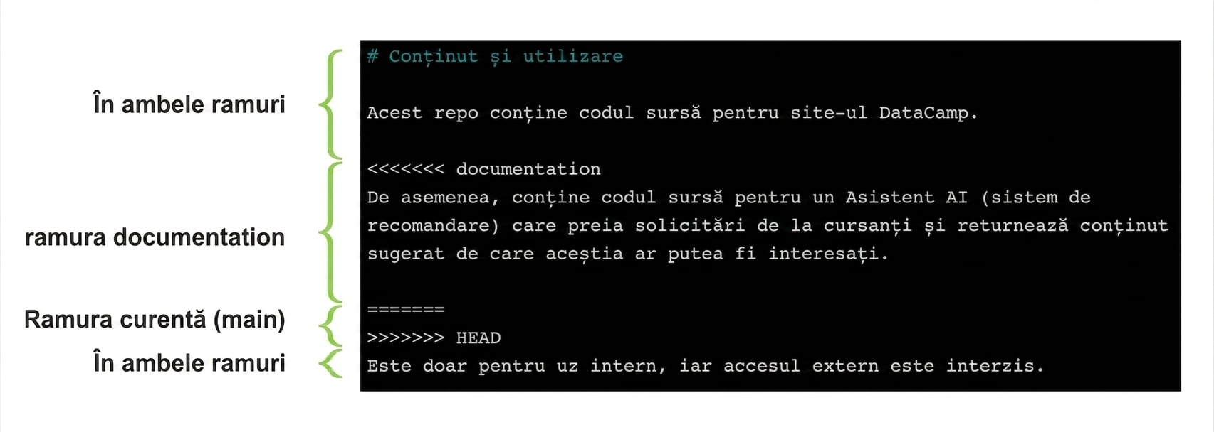 fișier de conflict adnotat cu conținutul din ramura main față de ramura documentation