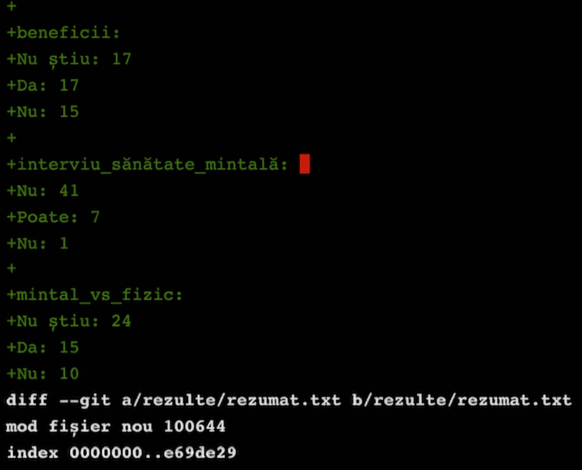 Rezultatul git diff main summary-statistics, partea a doua