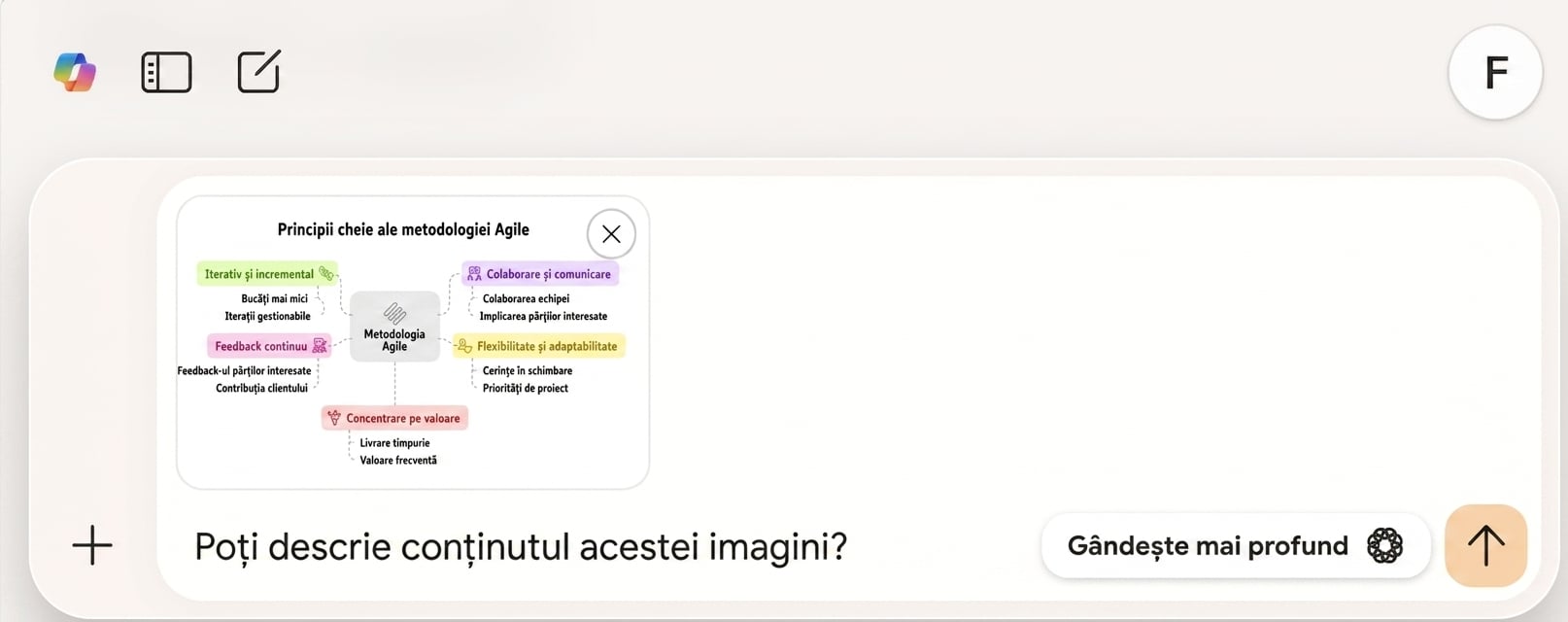 Promptul spune: „Puteți descrie conținutul acestei imagini?"