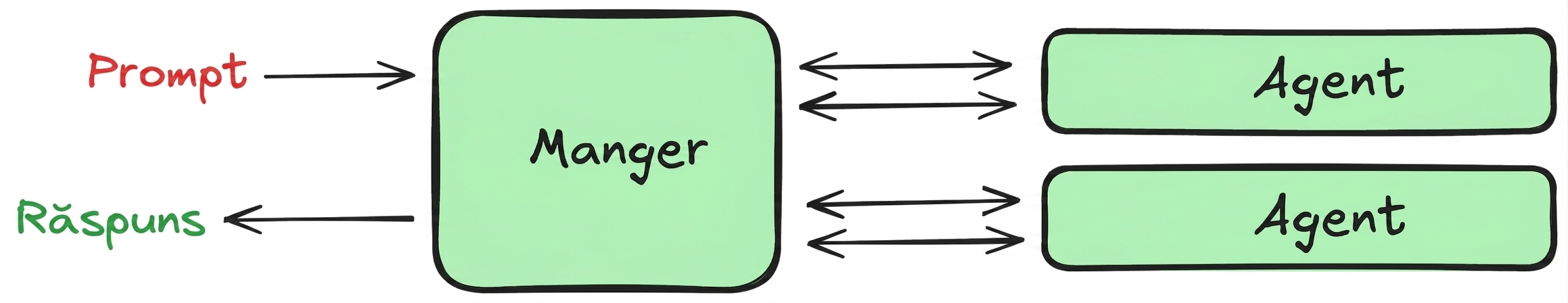 modelul manager