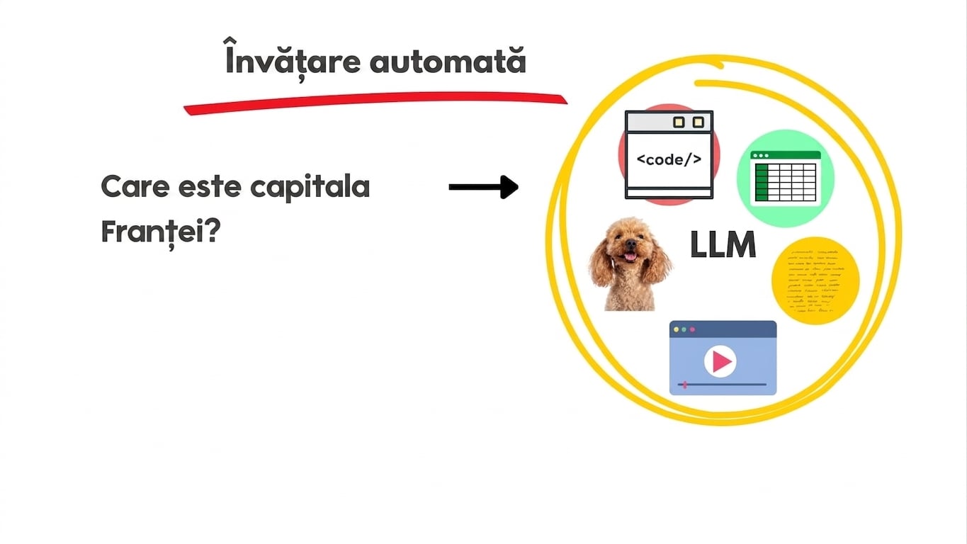 llms7.jpg