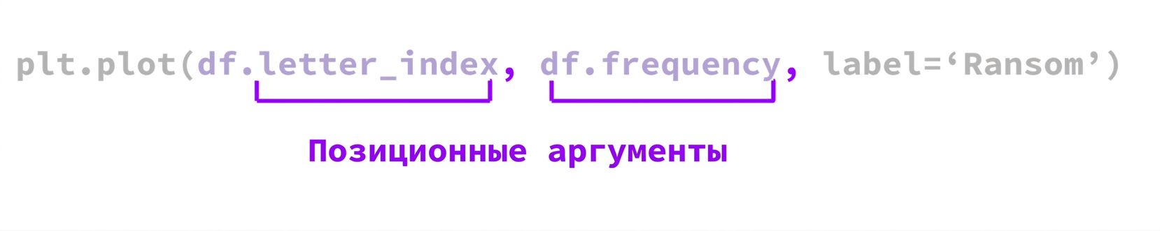 анатомия функции