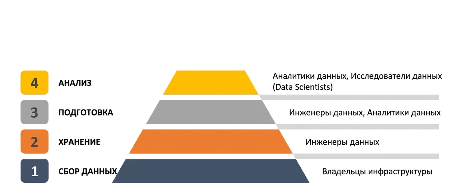 data-scientist