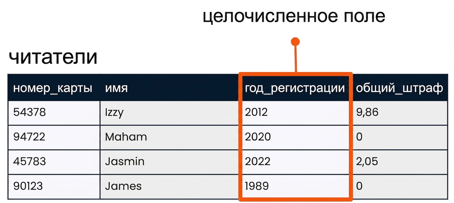Таблица patrons с выделенным полем member_year как пример целочисленного поля