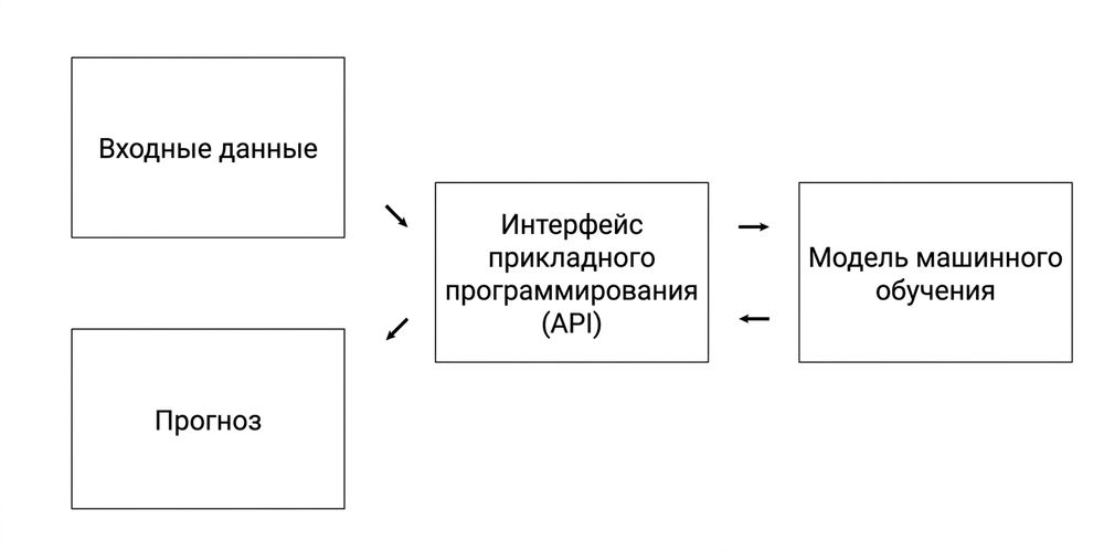 Application programming interface excluding information