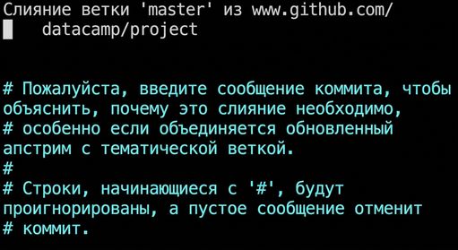 git_pull_nano_editor.gif
