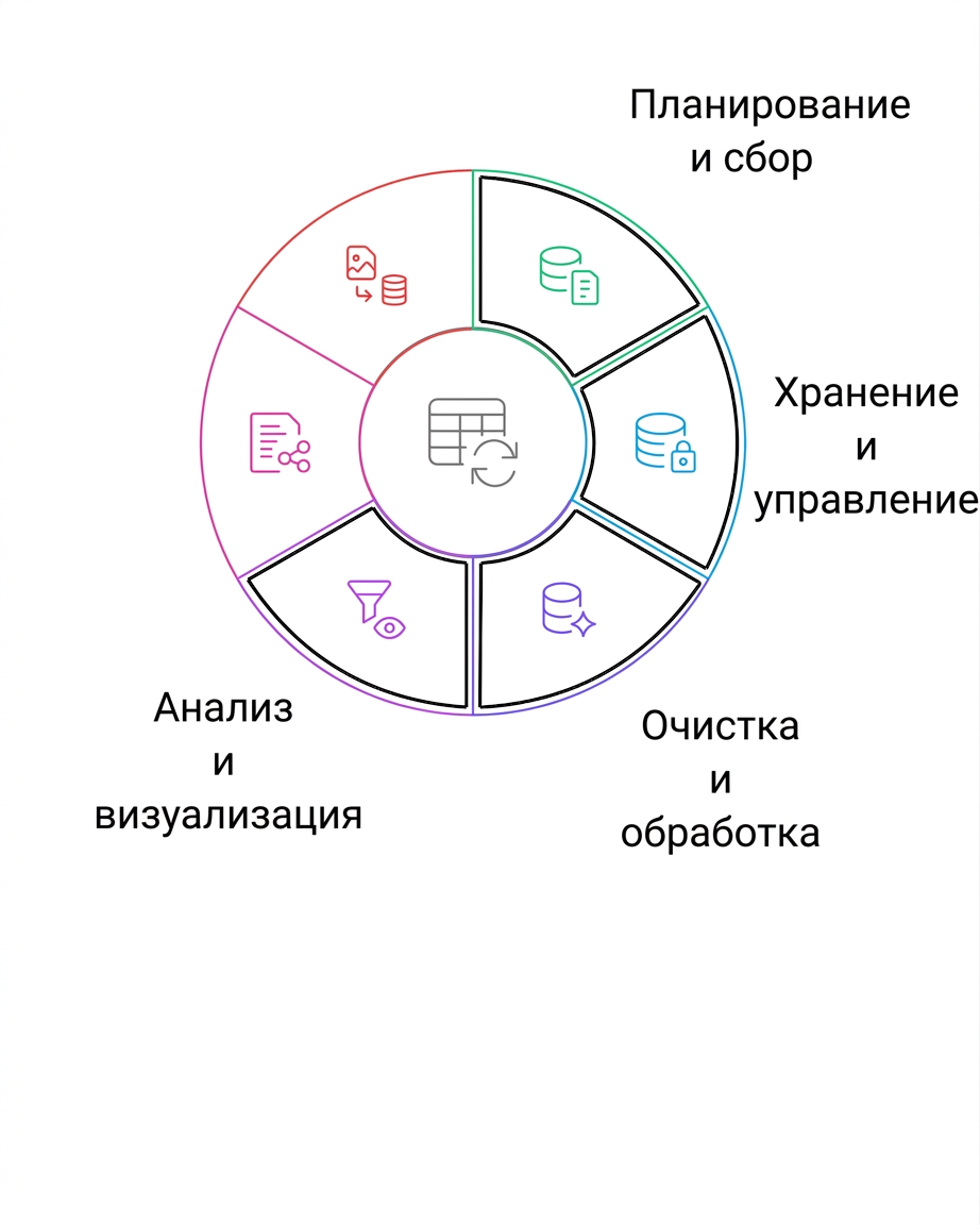 анализ и визуализация данных в жизненном цикле