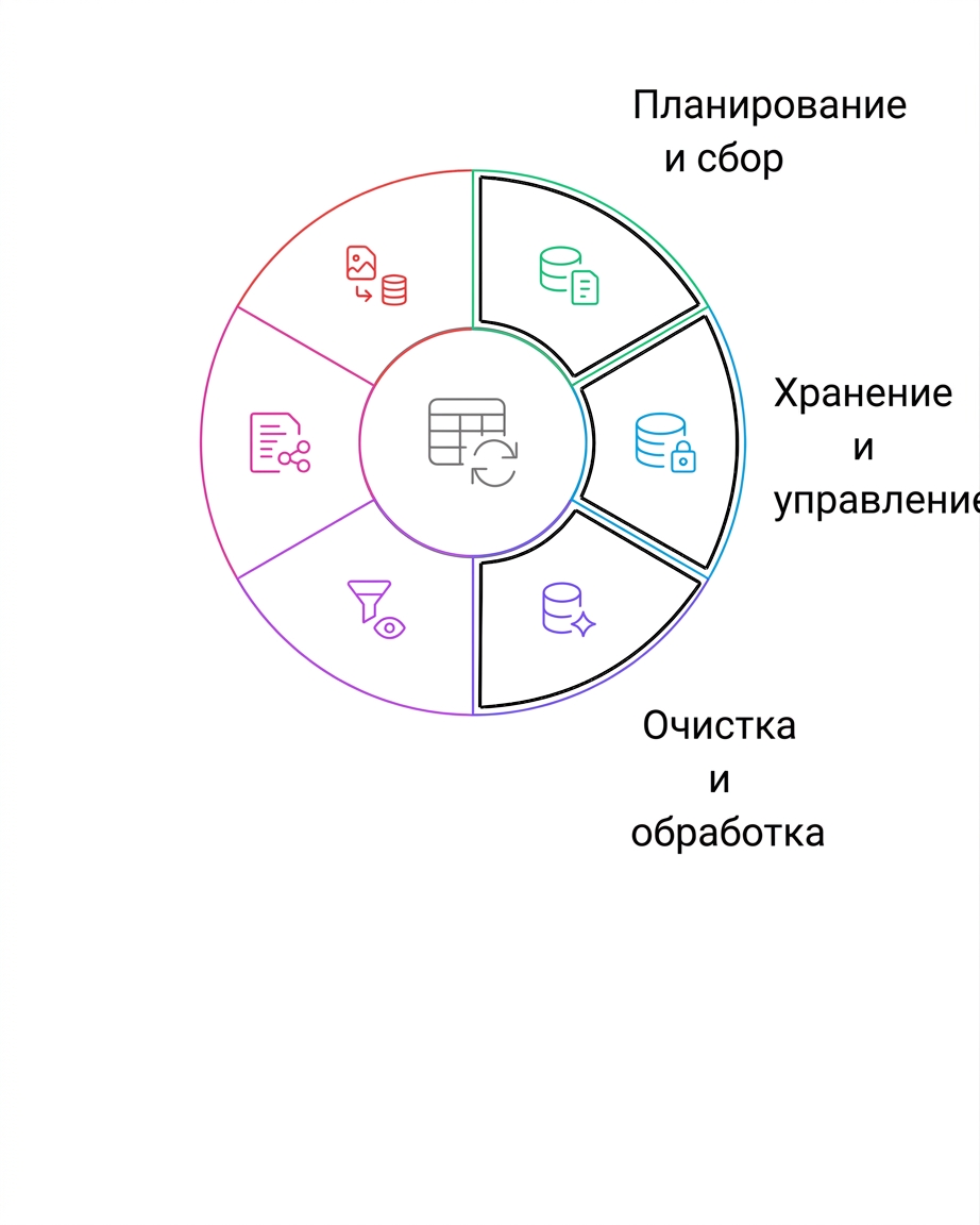 очистка и обработка данных в жизненном цикле