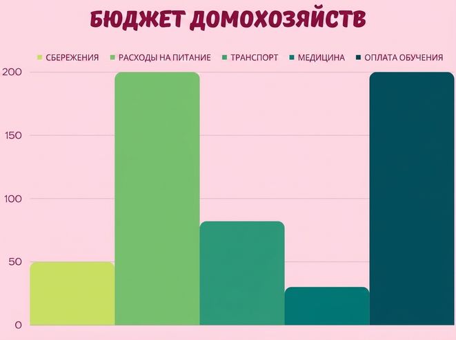 столбчатая диаграмма, показывающая процентное распределение бюджета домохозяйства по статьям расходов