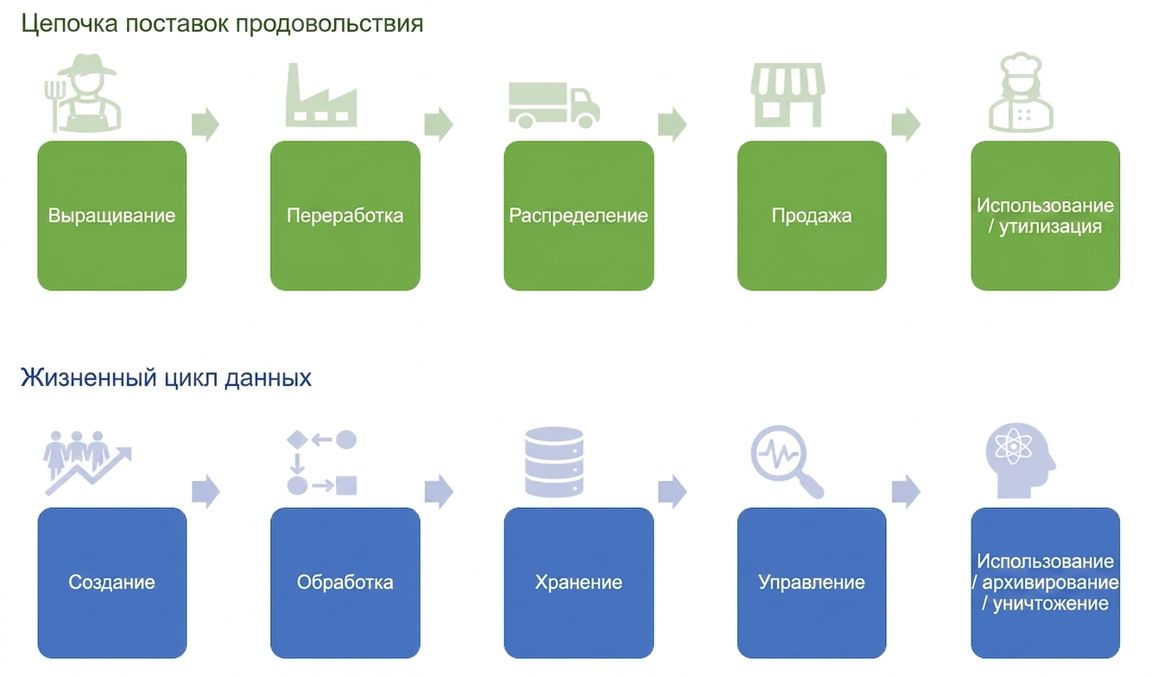 Цепочка поставок продовольствия и жизненный цикл данных