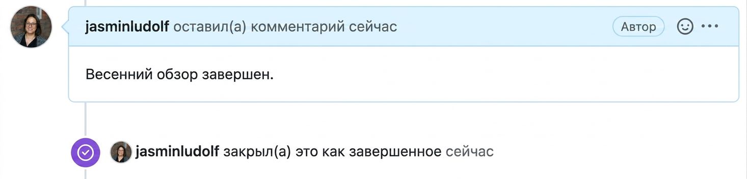 Вид закрытого issue
