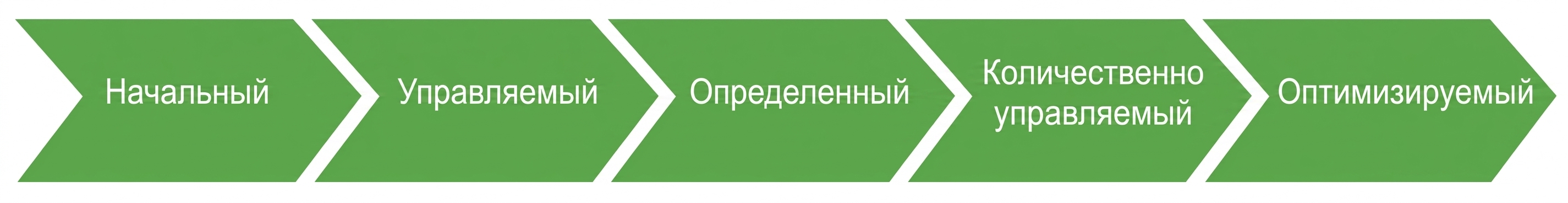 Модель зрелости данных IBM