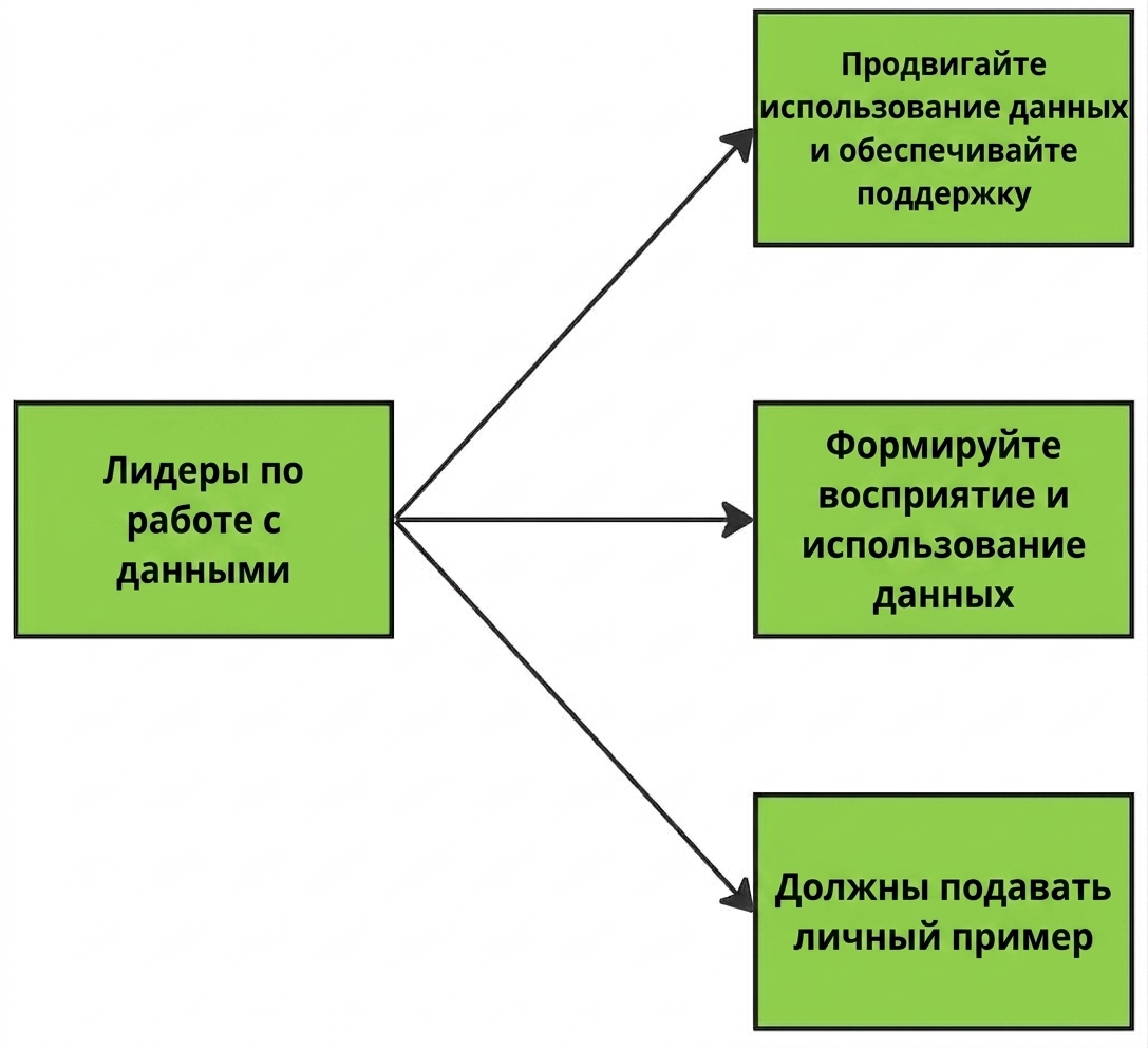 Диаграмма, иллюстрирующая обязанности лидеров в области данных.