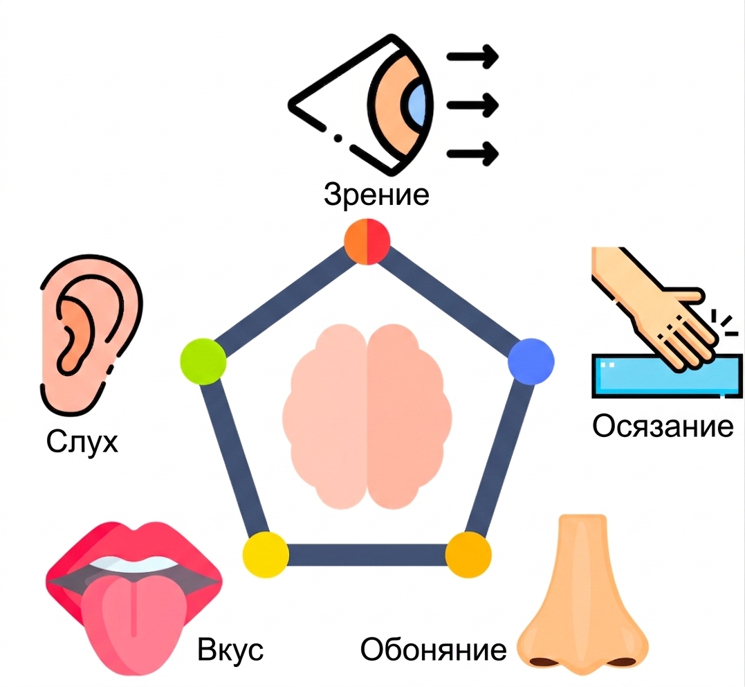 Восприятие окружающей среды