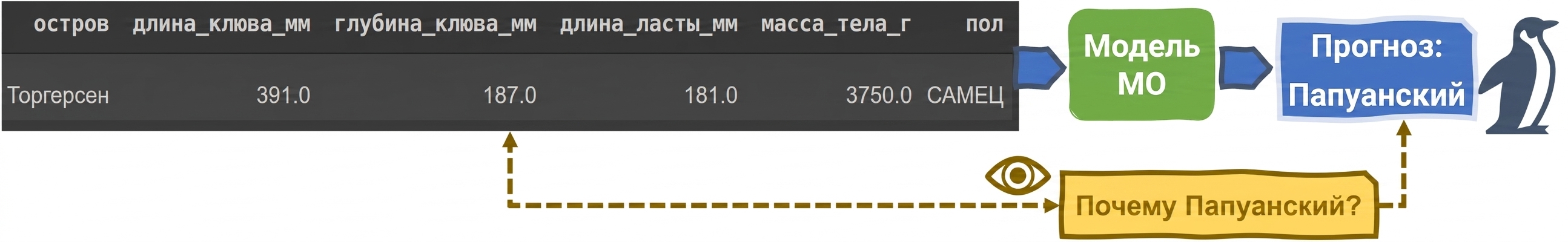 Объяснимость в классификаторе пингвинов на основе ML