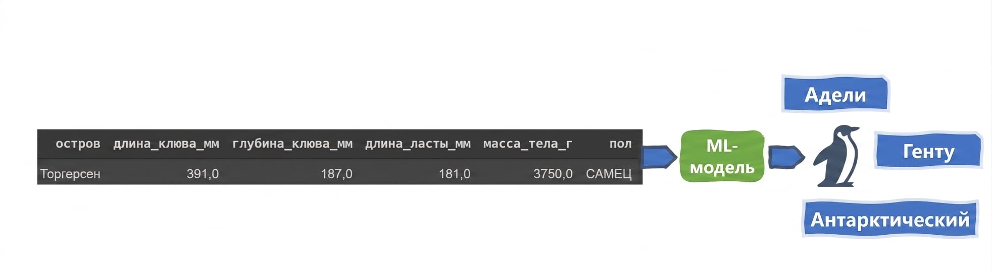 Многоклассовая классификация