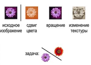 Image of a flower transformed in three ways: using rotation, color shift, and texture change.