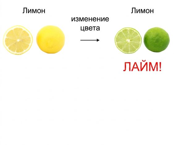 Жёлтый лимон и зелёный лайм выглядят одинаково — различаются только цветом.