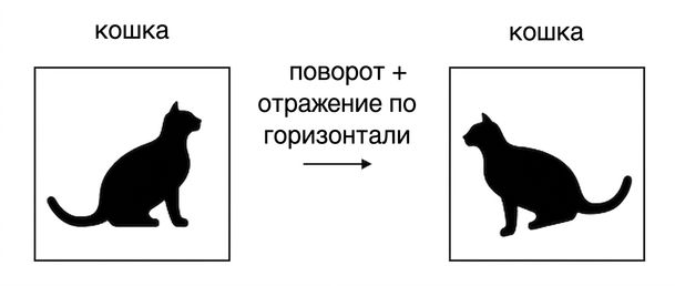 Изображение кошки, отражённое по горизонтали и повёрнутое.