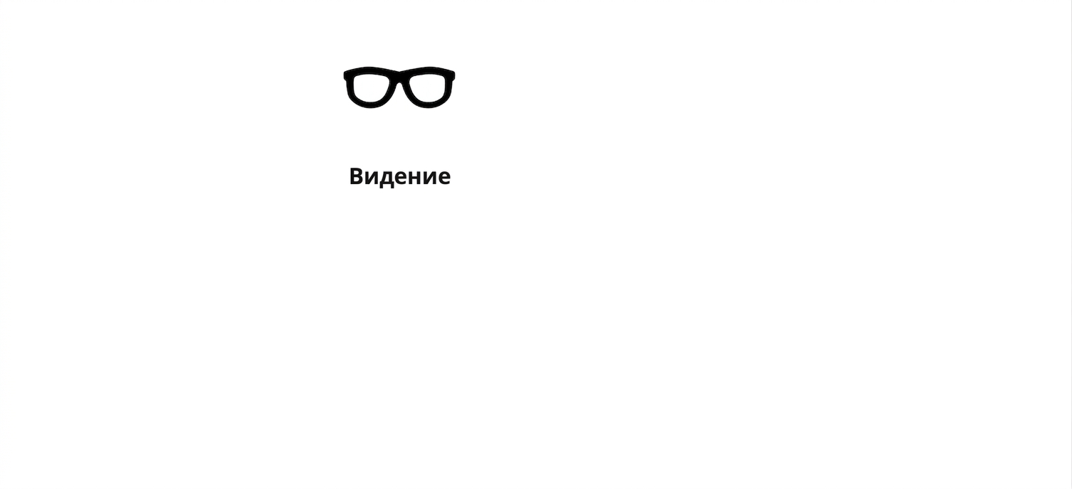Очки со словом «Vision» — «Видение».