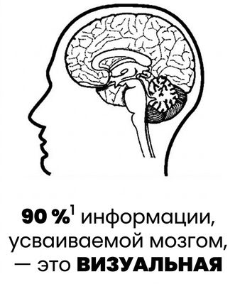 Изображение человеческого мозга