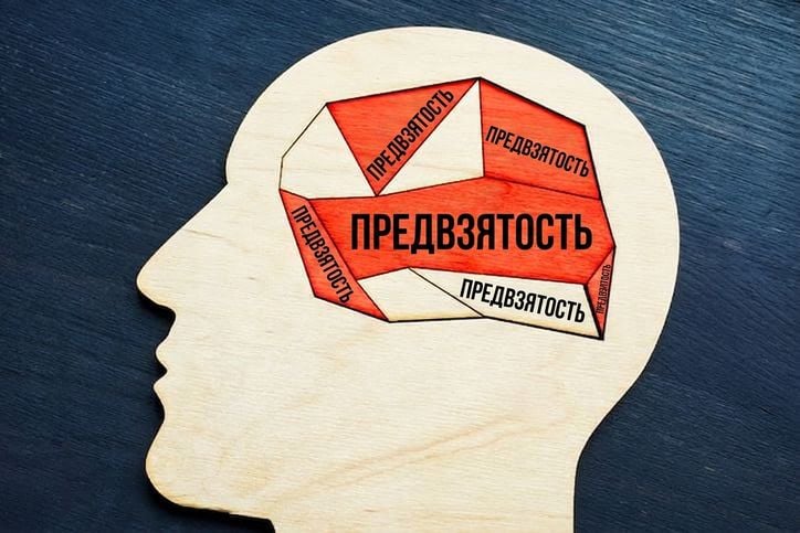Силуэт головы человека с отделами мозга, подписанными словом «предвзятость»