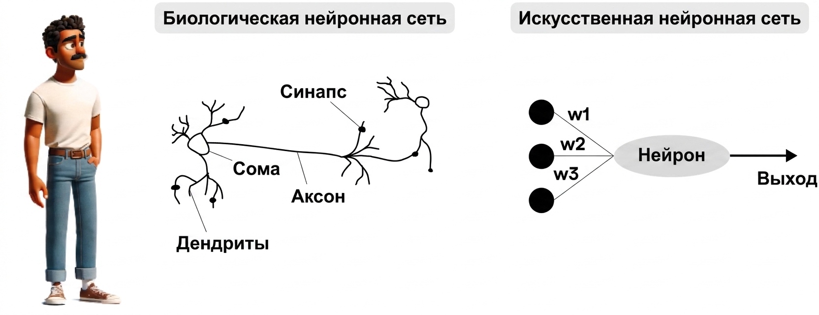 На иллюстрации изображён мужчина, смотрящий на овальную фигуру, символизирующую нейрон