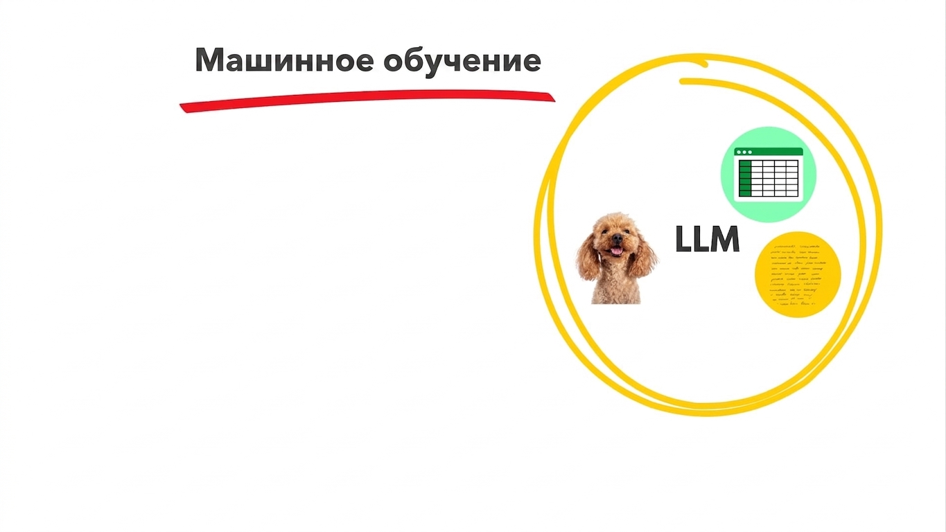 llms4.jpg