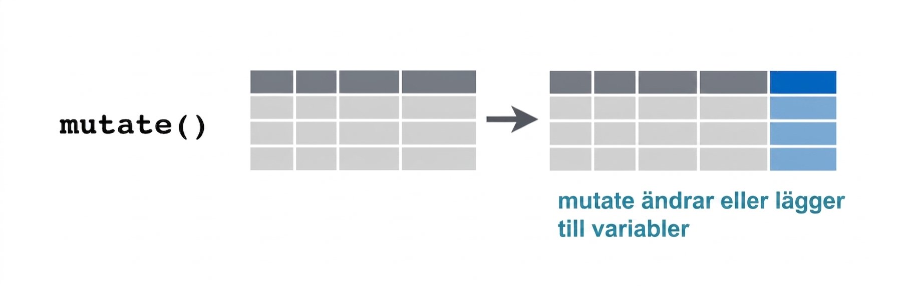 mutate_verb2.png