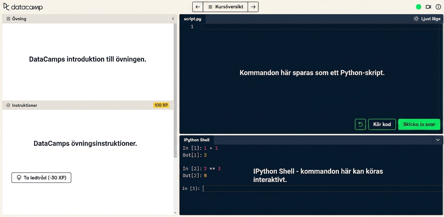 Datacamp Screenshot