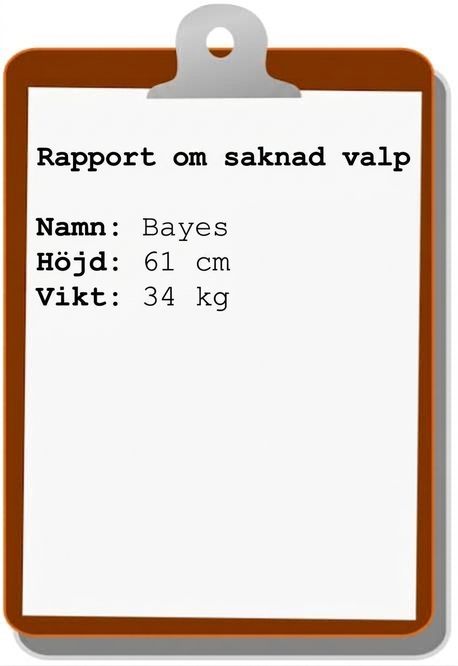 rapport om försvunnen valp