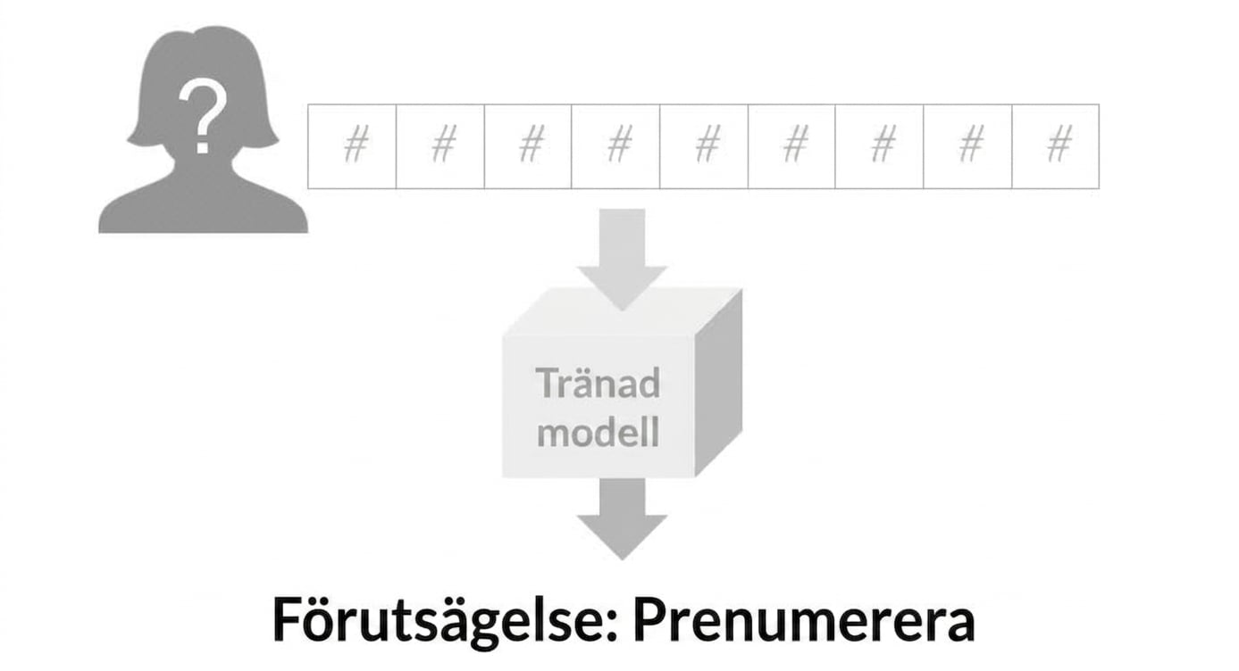 supervised-learning-7.jpg