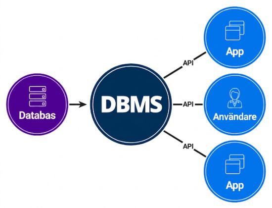 Diagram över DBMS-gränssnitt mellan databas och slutanvändare