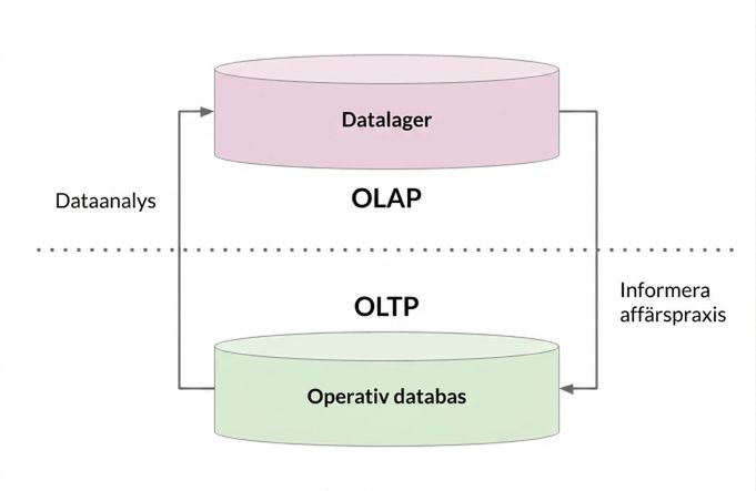 OLAP och OLTP