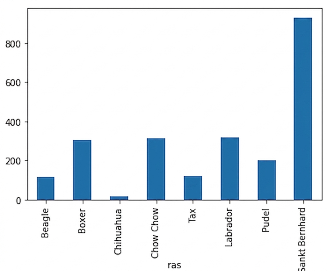 Ett stapeldiagram över hundarnas genomsnittsvikt i kilogram, uppdelat per ras. Sankt Bernhardshundar är tyngst och chihuahuas är lättast.