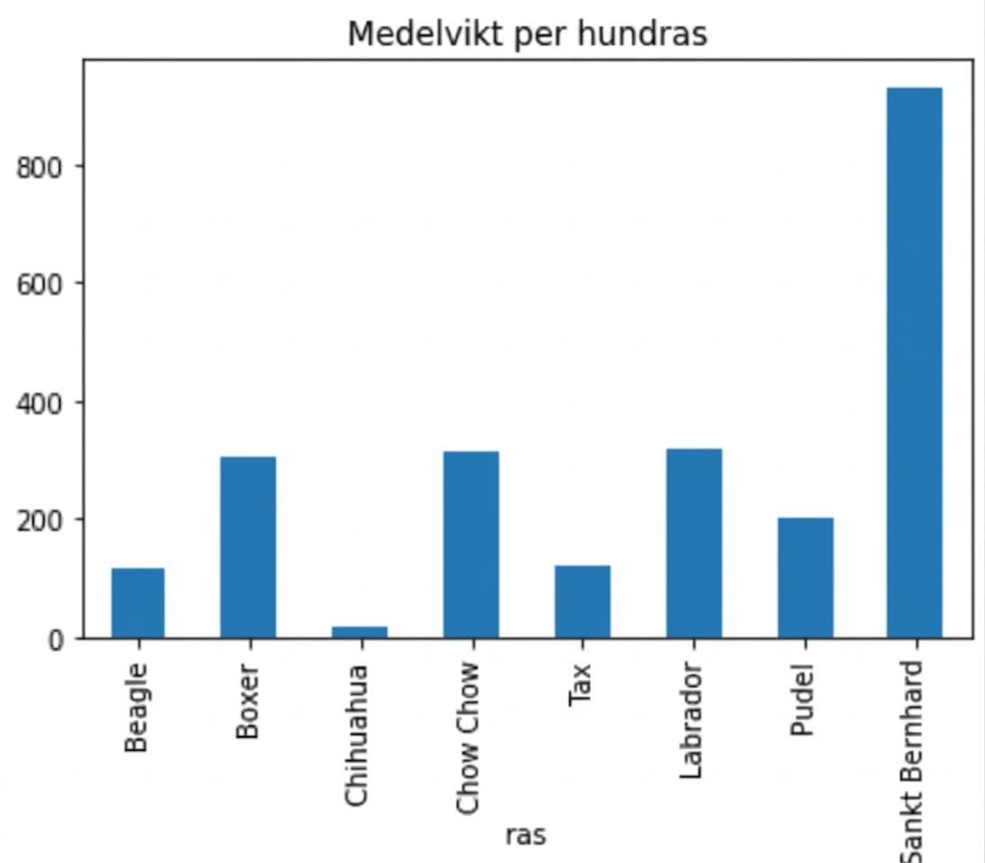 Samma stapeldiagram som till vänster, men med en extra titel: "Mean Weight by Dog Breed".
