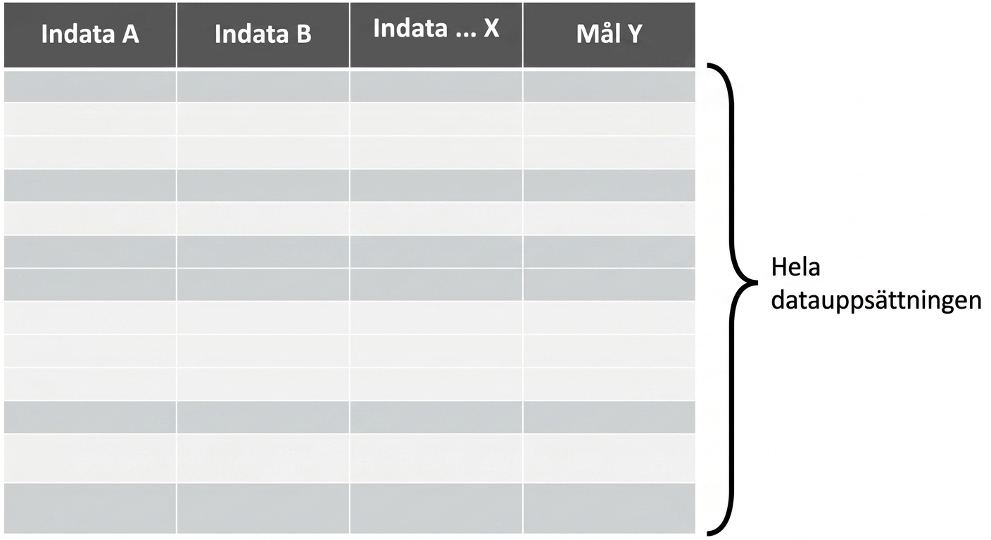 fullständig datamängd