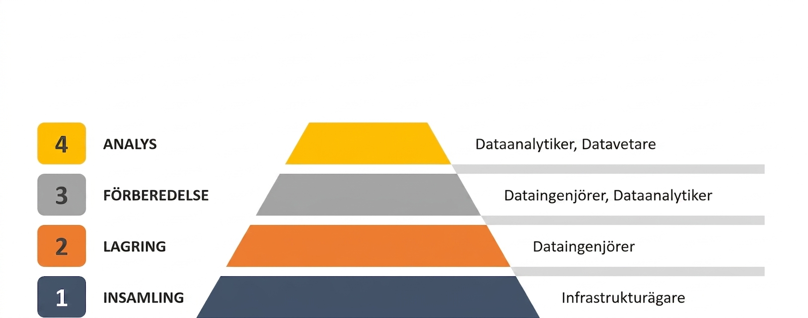 data-scientist