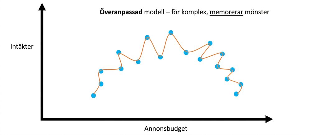 överanpassning 1