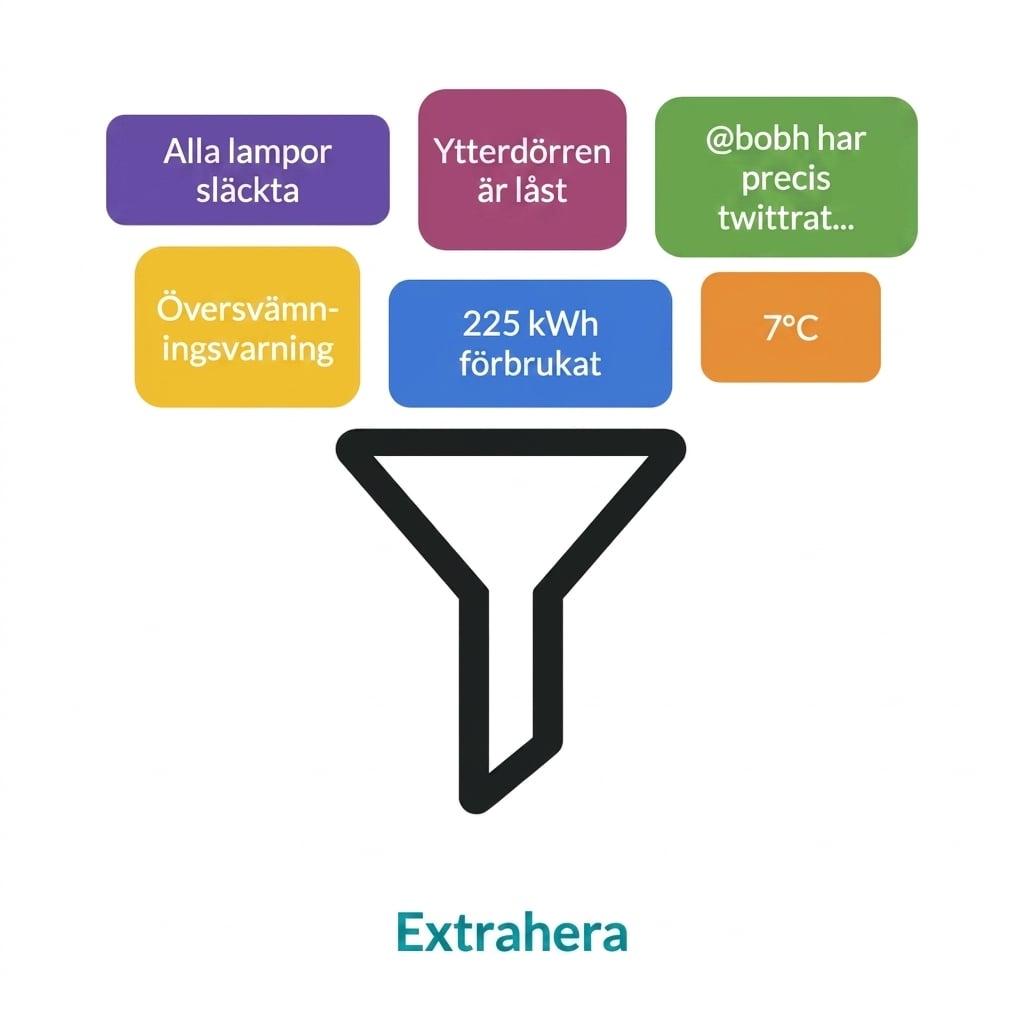 Extraheringsfas