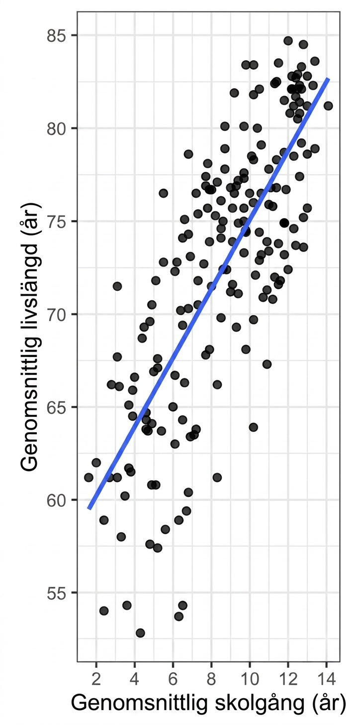 Ett spridningsdiagram över genomsnittlig medellivslängd kontra genomsnittlig skolgång, med en linjär trendlinje.