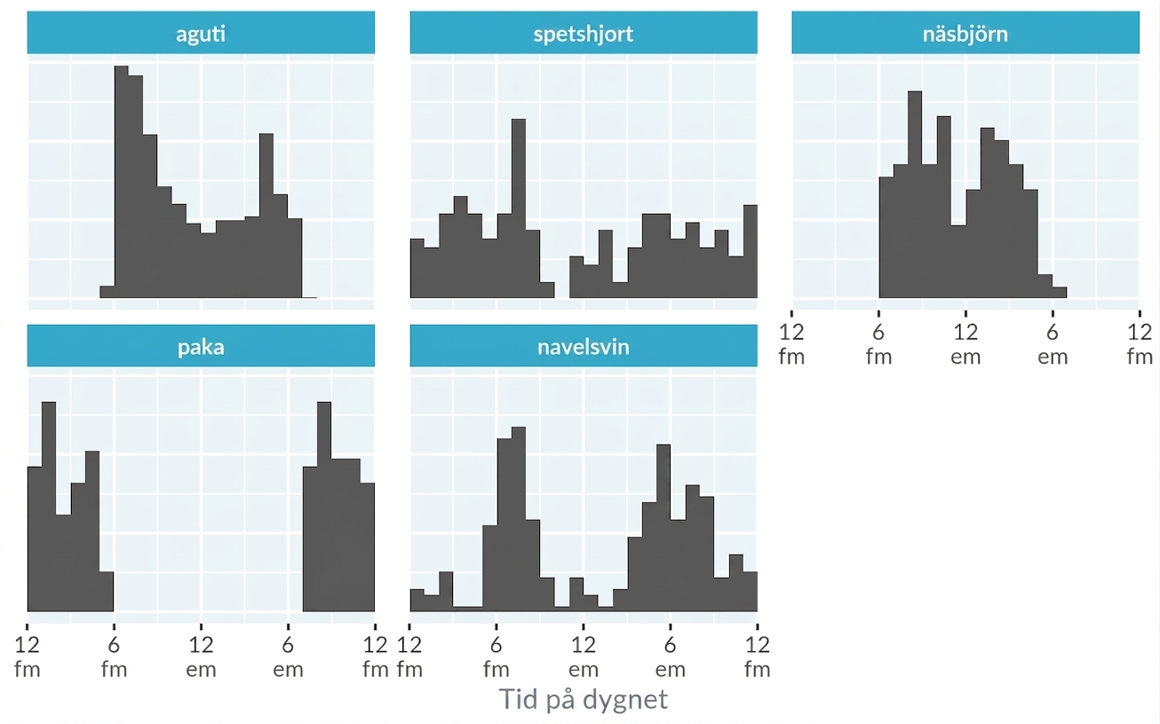Histogram över djurens aktivitet från Panama-kamerafällans datamängd