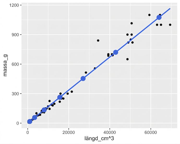 Spridningsdiagrammet över abborrars massa mot längden i kubik, med trendlinje och punkter beräknade med predict(). Punkterna följer trendlinjen exakt.
