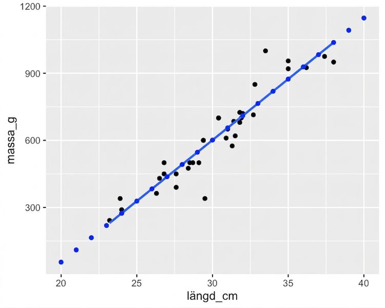Punktdiagrammet över braxens massa mot längd, med en linjär trendlinje. Diagrammet har kompletterats med punkter beräknade med predict(). Dessa punkter följer trendlinjen exakt.