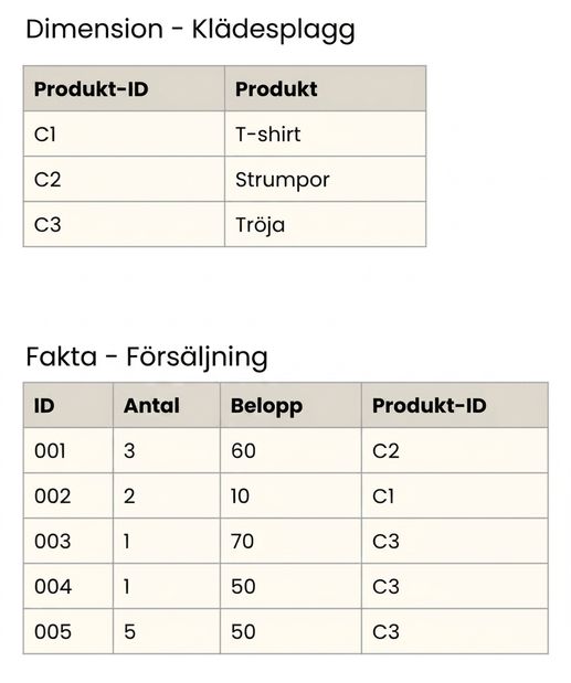 Detaljvy över fakta- och Clothing Item-dimensionstabellerna.