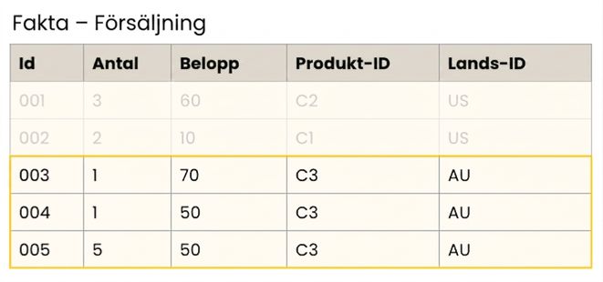 Detaljerad tabellvy över faktaförsäljning.